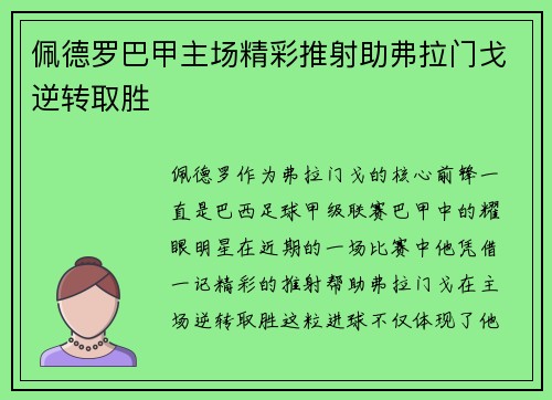 佩德罗巴甲主场精彩推射助弗拉门戈逆转取胜 佩德罗巴甲主场精彩推射助弗拉门戈逆转取胜